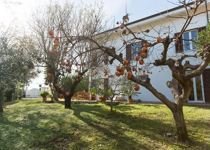 Appartement Le Acacie *