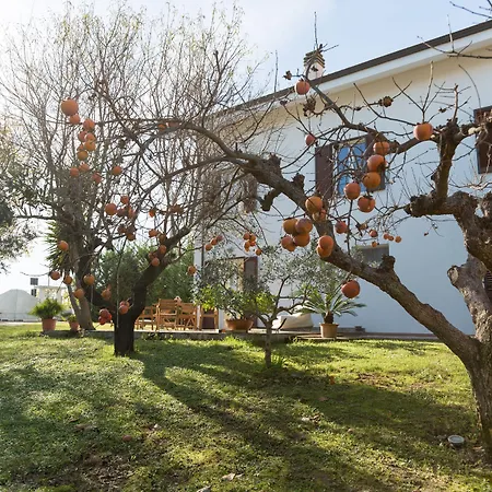 Apartamento Le Acacie *